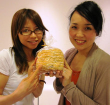 t02200212_0798076812223291841