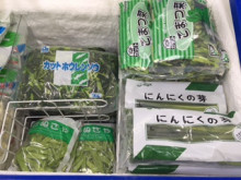 食材豊富なお店のご紹介です