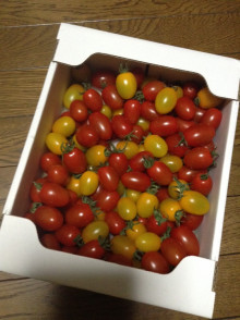 t02200295_0800107113363831546