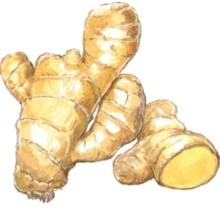 寒い季節にぴったりの生姜のお鍋（レシピ）