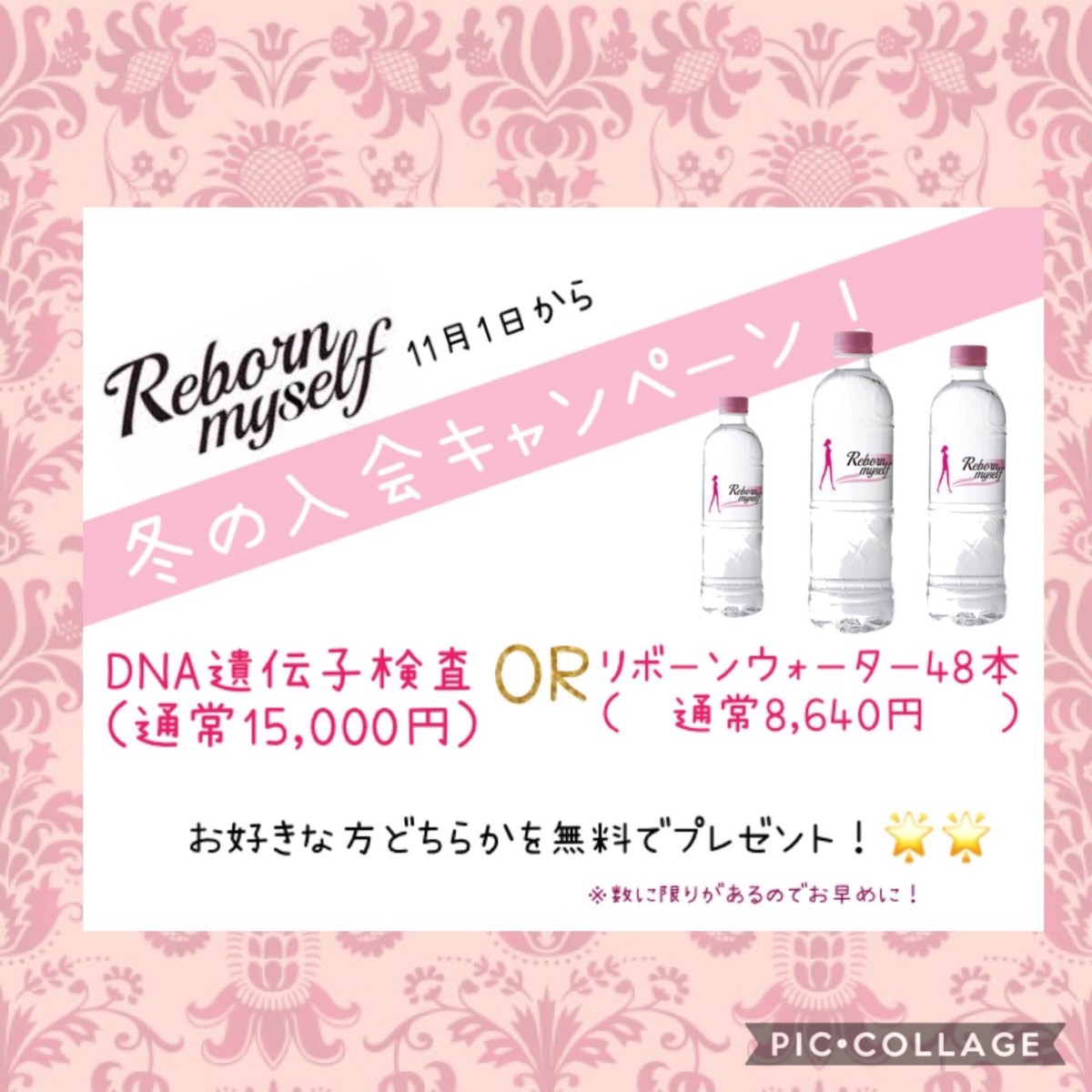 冬の入会キャンペーン