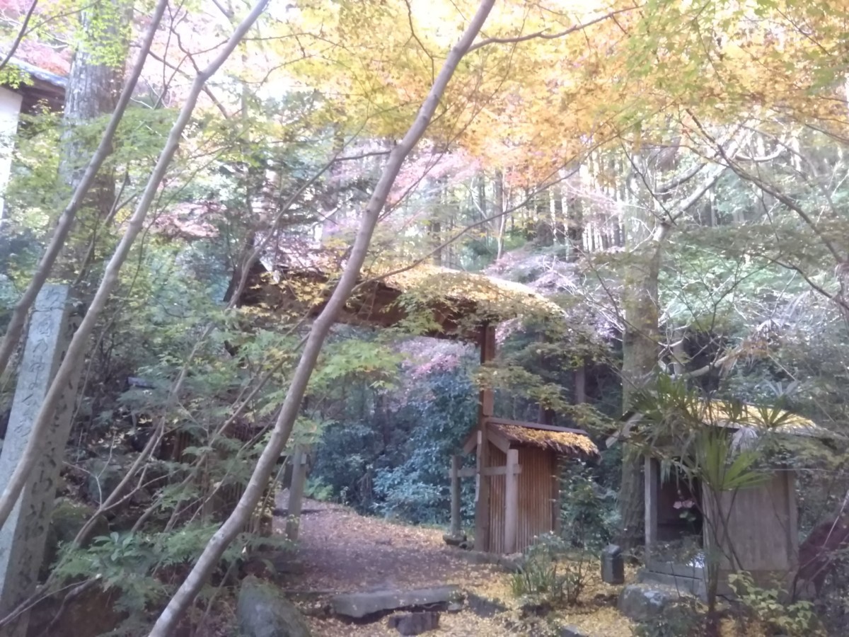 山登りに行ってきました