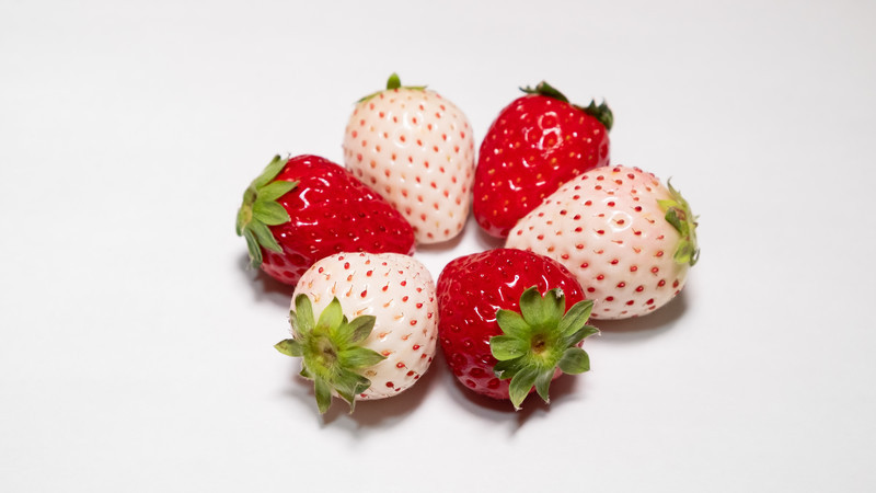 ダイエット中でも甘いものが食べたい！！！