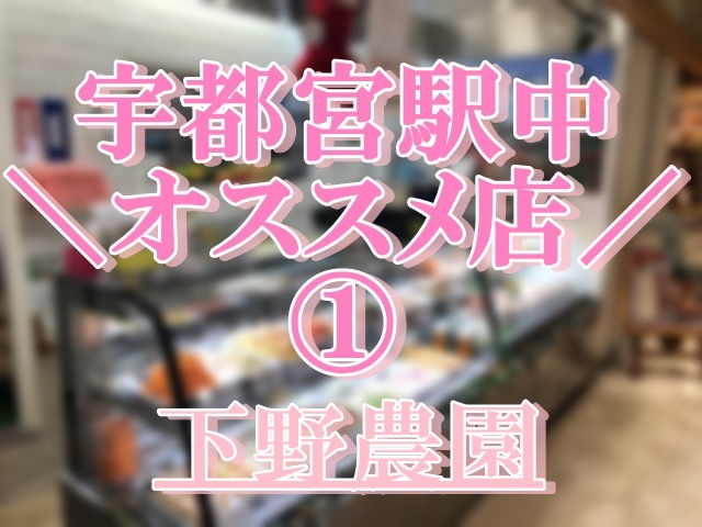 宇都宮駅中　おススメごはん①