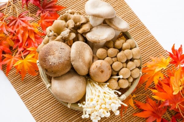 食欲の秋だからこそダイエット！