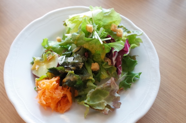 【繊維質の必要性】