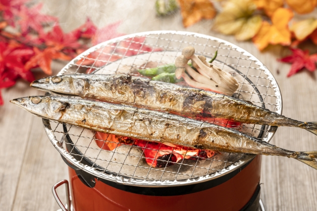 食欲の秋と身体のしくみ