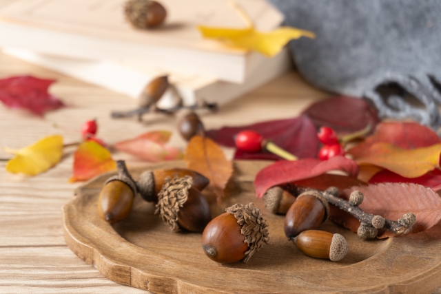 食欲の秋を楽しみましょう