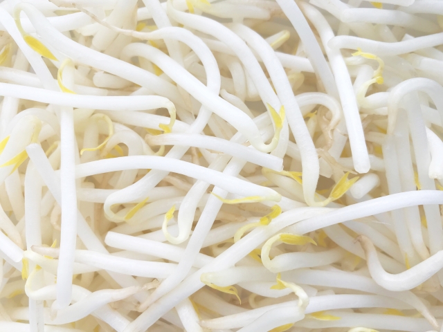 家計の強い味方「もやし」