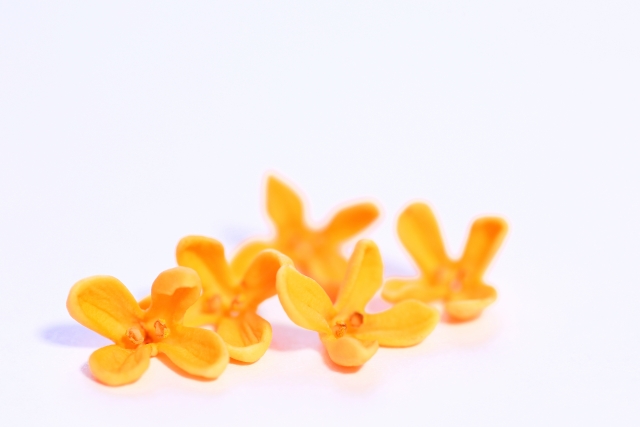 金木犀の香りはダイエットに活用できる？