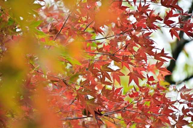 季節の変わり目の体調に注意