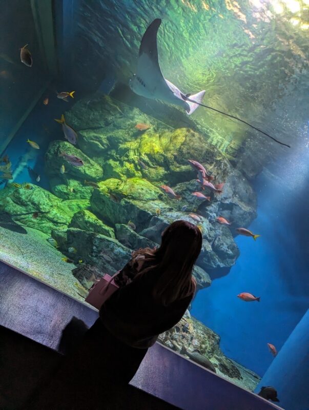 休日の過ごし方🐬🐠