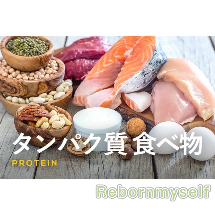 たんぱく質取れていますか？？