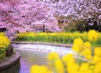 春はもう目の前！！