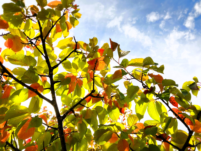 食欲の秋に向けて🍂