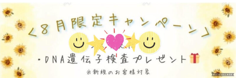 🌸8月新規入会キャンペーン🌸