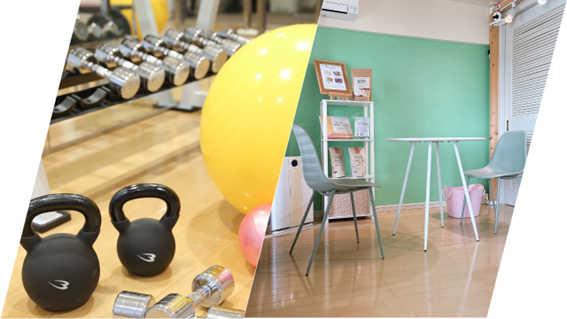 大濠公園で女性専用ジムをお探しの方へ｜無理なく続ける筋トレで健康的な体づくり